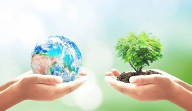 Peran DLH Menjaga Alam dan lingkungan hidup