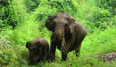 Wisata tersembunyi di riau
