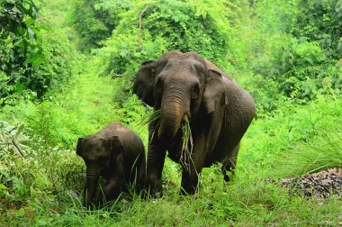 Wisata tersembunyi di riau