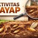 Jasa anti rayap